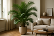 Belle plante palmier dans un sejour, ultra realiste 