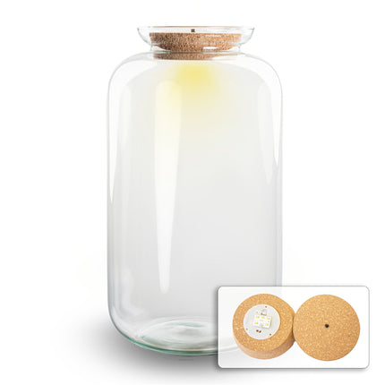 Terrarium With Cork Bouchon de Liège- Sven Xl Avec Led Light -↑ 43 Cm