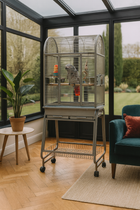 Strong Cage Pour Perroquets Villa Nora Gris 67,7 X 51,5 X 154 Cm