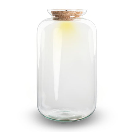 Terrarium With Cork Bouchon de Liège- Sven Xl Avec Led Light -↑ 43 Cm